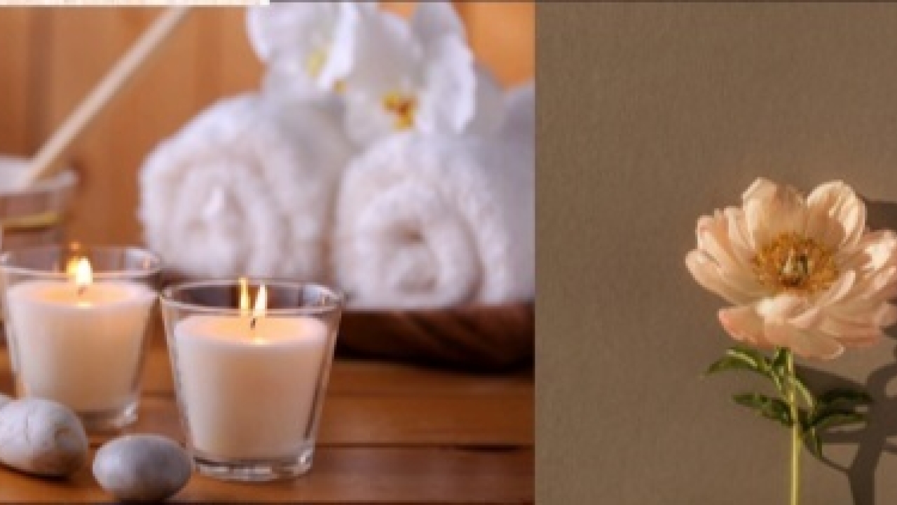 ATELIER ZEN